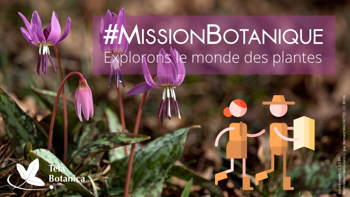 Bannière de l'événement Mission Botanique